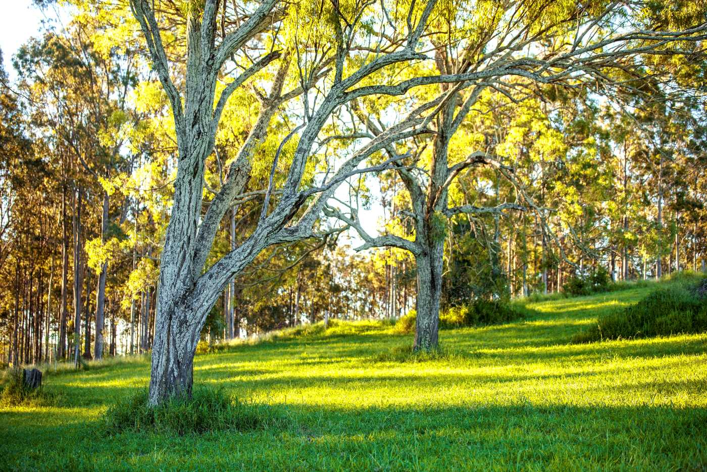 [Land for Sale] Hillview Estate, Boonah OpenLot